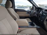 2010 Ford F-150 Fx2 Sport/harley-davidson/king Ranch/lariat/platinum/xl/xlt Beige vin: 1FTFW1CV8AKE18754