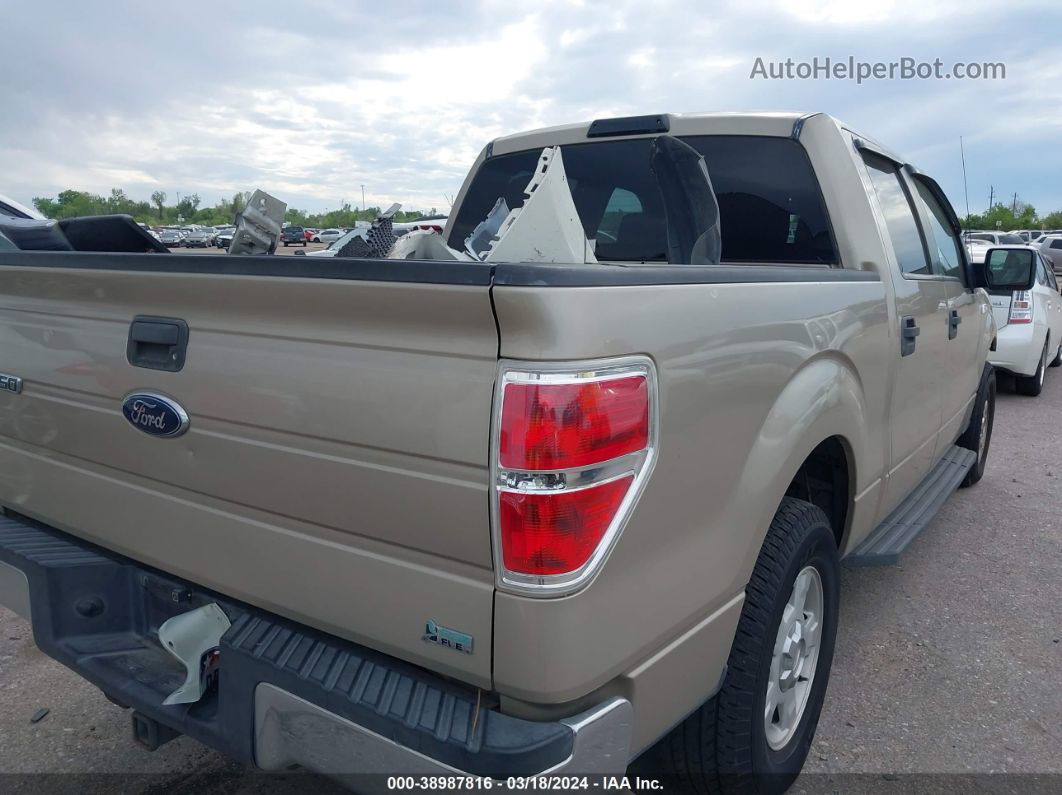 2010 Ford F-150 Fx2 Sport/harley-davidson/king Ranch/lariat/platinum/xl/xlt Beige vin: 1FTFW1CV8AKE18754