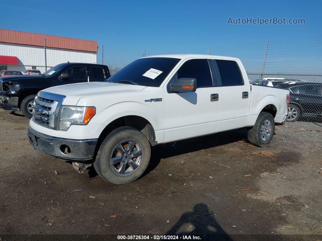 2010 Ford F-150 Harley-davidson/king Ranch/lariat/platinum/xl/xlt Белый vin: 1FTFW1CVXAKB83810