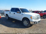 2010 Ford F-150 Harley-davidson/king Ranch/lariat/platinum/xl/xlt Белый vin: 1FTFW1CVXAKB83810