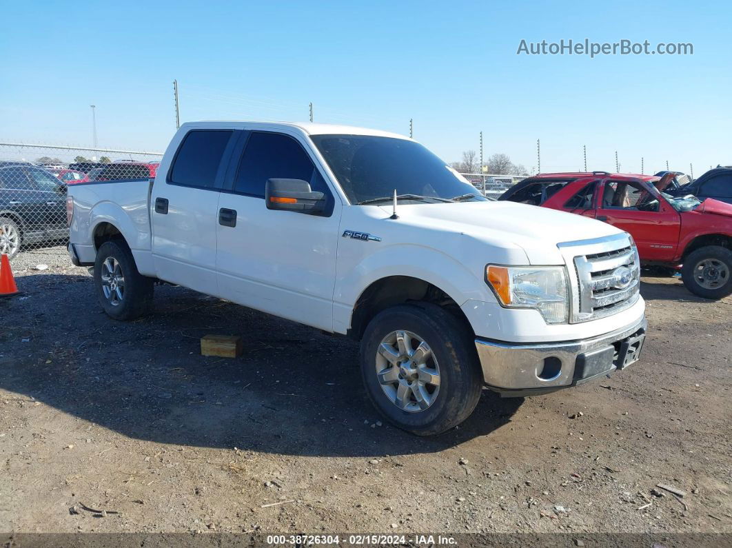 2010 Ford F-150 Harley-davidson/king Ranch/lariat/platinum/xl/xlt White vin: 1FTFW1CVXAKB83810