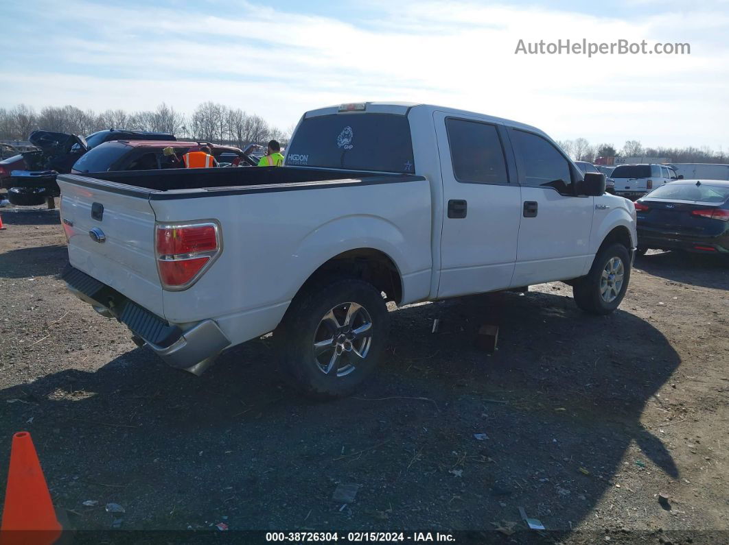 2010 Ford F-150 Harley-davidson/king Ranch/lariat/platinum/xl/xlt Белый vin: 1FTFW1CVXAKB83810