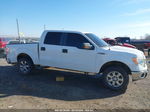 2010 Ford F-150 Harley-davidson/king Ranch/lariat/platinum/xl/xlt White vin: 1FTFW1CVXAKB83810