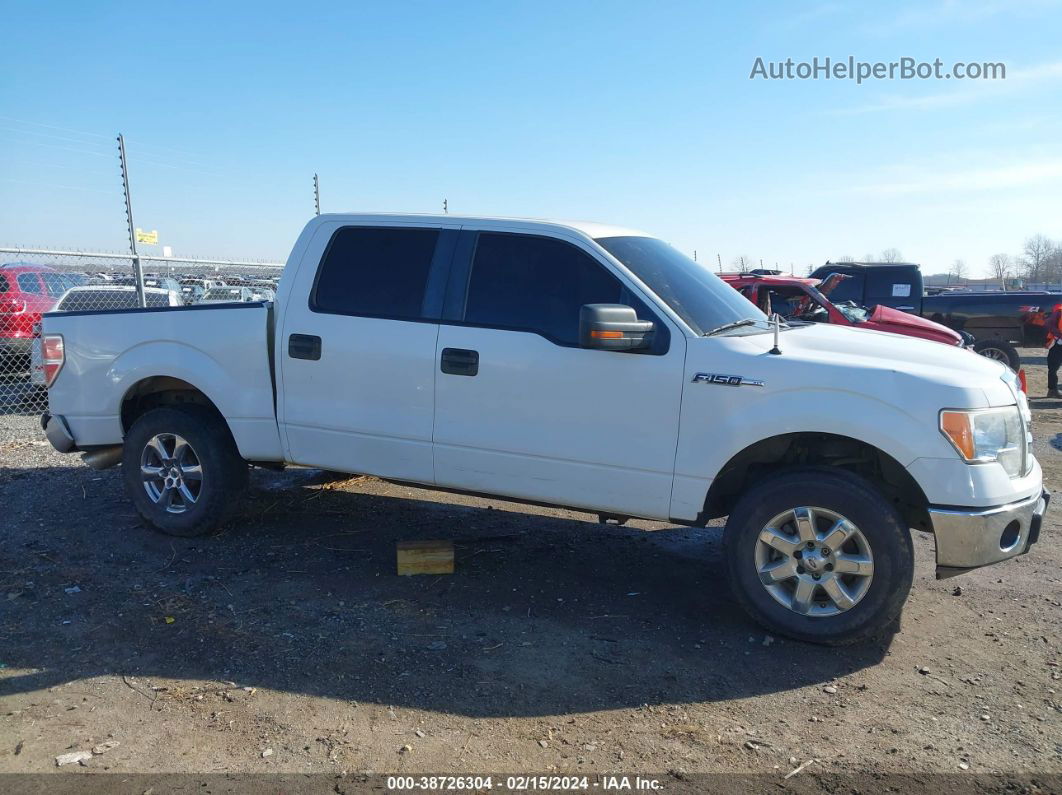 2010 Ford F-150 Harley-davidson/king Ranch/lariat/platinum/xl/xlt Белый vin: 1FTFW1CVXAKB83810