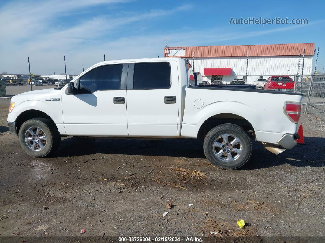 2010 Ford F-150 Harley-davidson/king Ranch/lariat/platinum/xl/xlt Белый vin: 1FTFW1CVXAKB83810