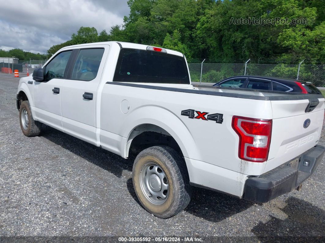 2019 Ford F-150 Xl White vin: 1FTFW1E43KFC43814