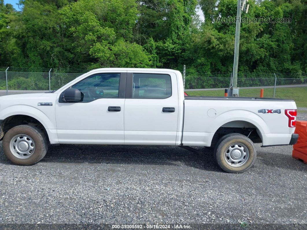 2019 Ford F-150 Xl White vin: 1FTFW1E43KFC43814