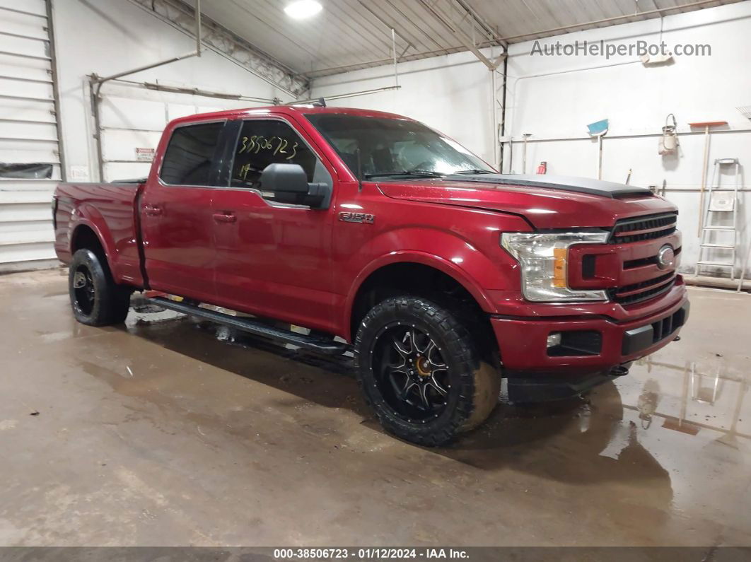 2019 Ford F-150 Xlt Red vin: 1FTFW1E44KFC59780