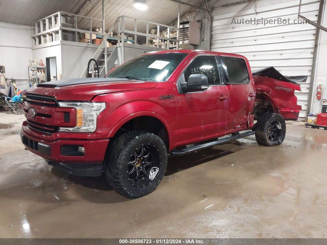 2019 Ford F-150 Xlt Красный vin: 1FTFW1E44KFC59780