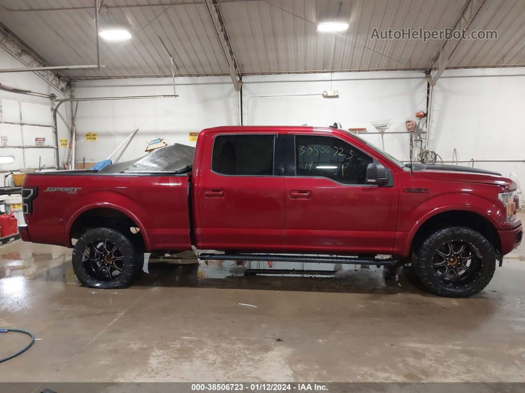 2019 Ford F-150 Xlt Красный vin: 1FTFW1E44KFC59780