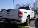 2019 Ford F-150 Xl vin: 1FTFW1E51KFB33756