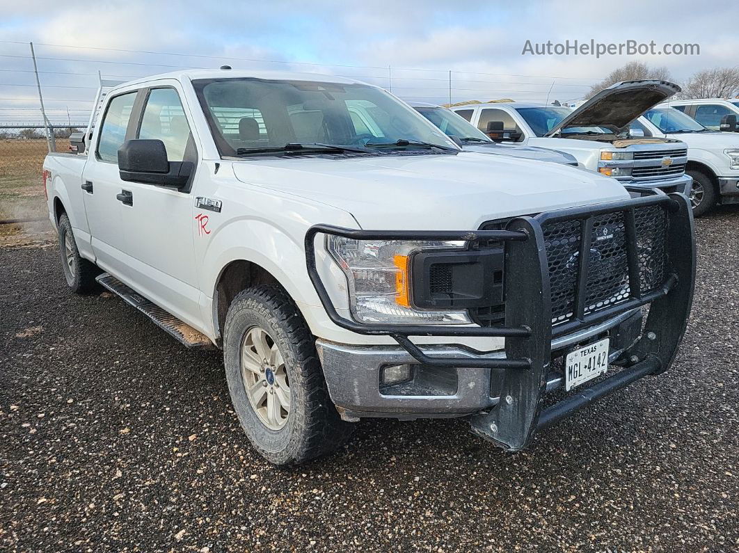 2019 Ford F-150 Xl vin: 1FTFW1E53KFA21363