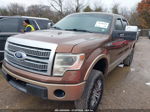 2011 Ford F-150 Platinum Коричневый vin: 1FTFW1E65BFA17453