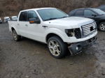 2011 Ford F150 Supercrew White vin: 1FTFW1E65BFB74643