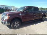 2010 Ford F-150 Xlt Maroon vin: 1FTFW1E83AFC12810