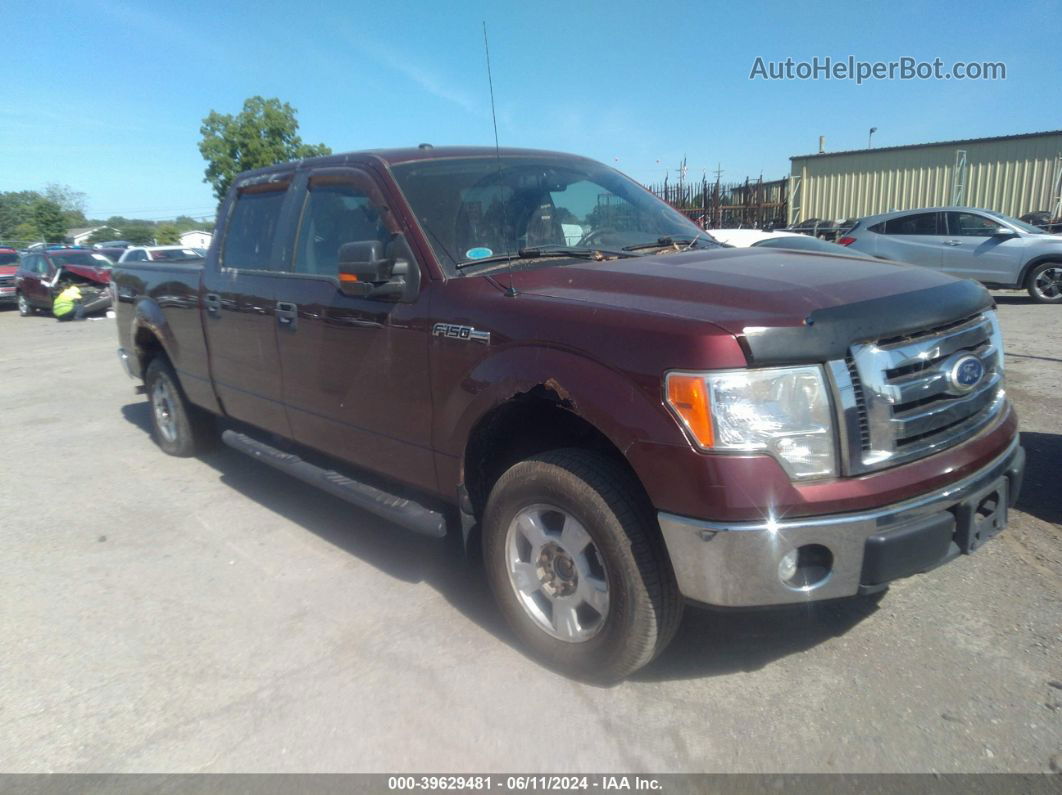 2010 Ford F-150 Xlt Maroon vin: 1FTFW1E83AFC12810