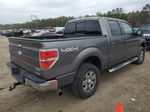 2011 Ford F150 Supercrew Gray vin: 1FTFW1EF0BFC76691