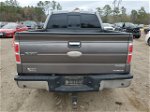 2011 Ford F150 Supercrew Gray vin: 1FTFW1EF0BFC76691