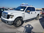 2014 Ford F-150 Xlt Белый vin: 1FTFW1EF0EKD24525