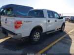 2014 Ford F-150 Xlt White vin: 1FTFW1EF0EKD24525