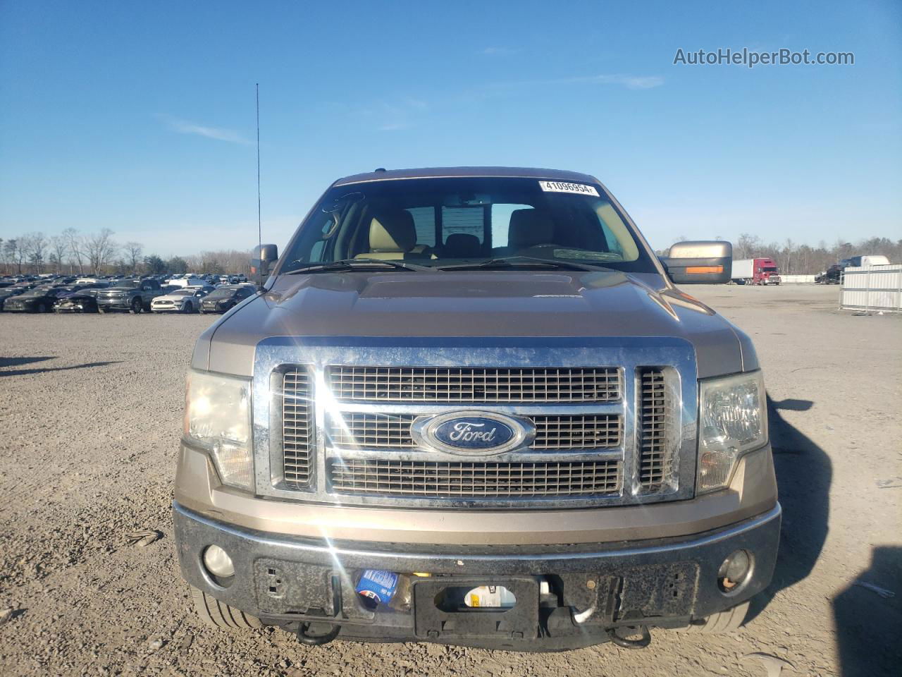 2011 Ford F150 Supercrew Желто-коричневый vin: 1FTFW1EF1BFC02115