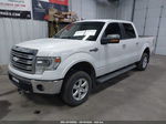 2014 Ford F-150 King Ranch White vin: 1FTFW1EF1EKE75051