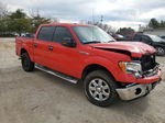 2014 Ford F150 Supercrew Red vin: 1FTFW1EF1EKG44615