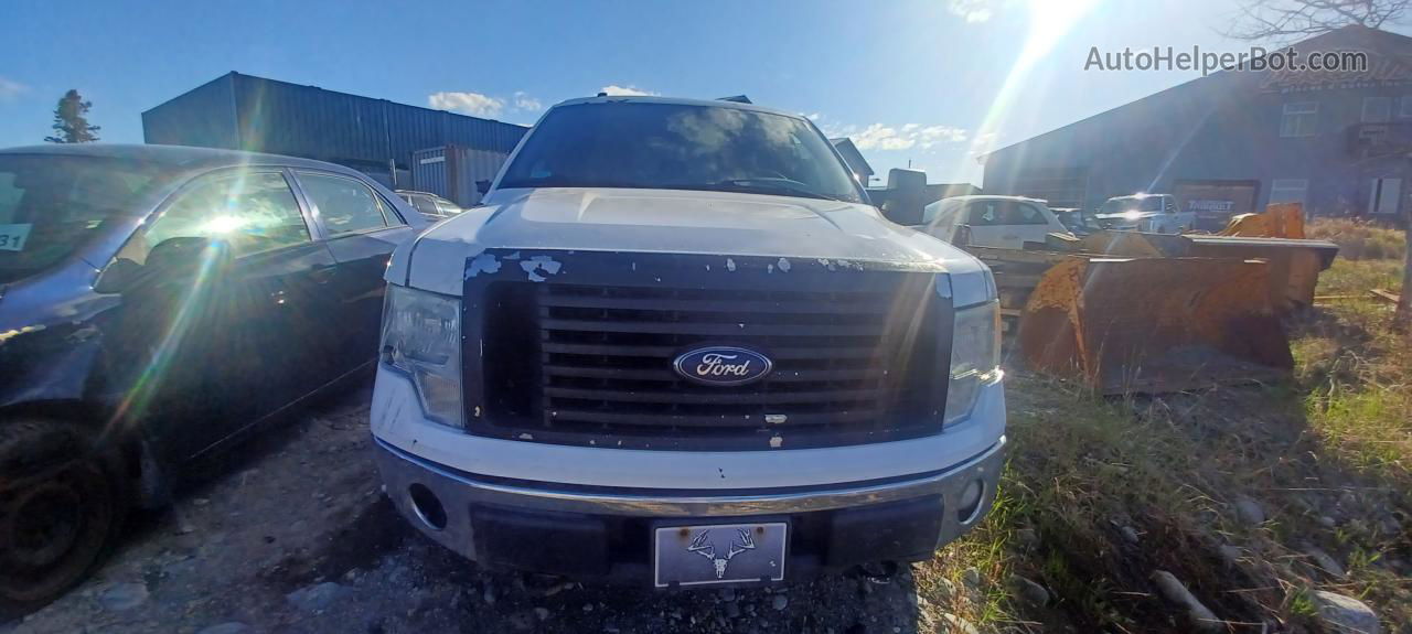 2011 Ford F150 Supercrew White vin: 1FTFW1EF2BFC97266
