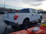 2014 Ford F-150 Xlt Белый vin: 1FTFW1EF2EFC18747