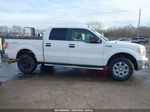 2014 Ford F-150 Xlt Белый vin: 1FTFW1EF2EFC18747