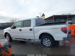 2014 Ford F-150 Xlt Белый vin: 1FTFW1EF2EFC18747