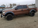 2011 Ford F150 Supercrew Brown vin: 1FTFW1EF3BKD36373