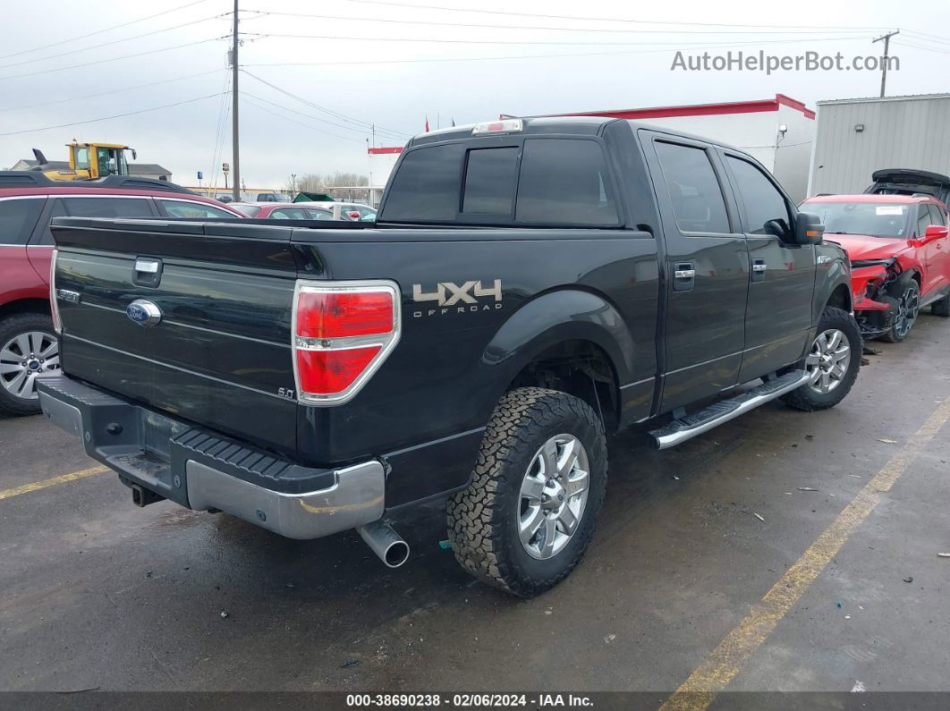 2014 Ford F-150 Xlt Black vin: 1FTFW1EF3EFA61441