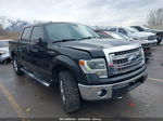 2014 Ford F-150 Xlt Black vin: 1FTFW1EF3EFA61441