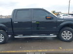 2014 Ford F-150 Xlt Black vin: 1FTFW1EF3EFA61441