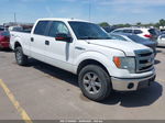 2014 Ford F-150 Xl/xlt/stx/fx4/lariat Белый vin: 1FTFW1EF3EKD83603