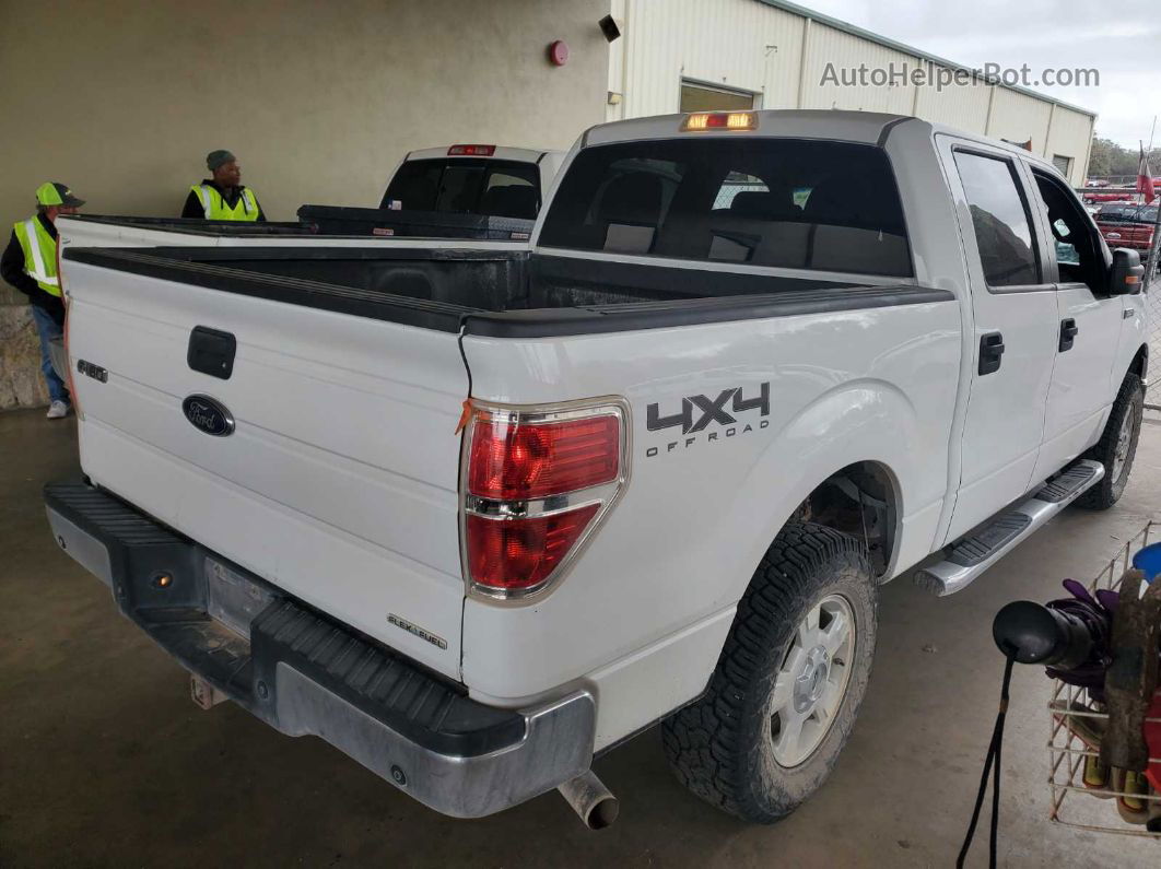 2014 Ford F-150 Xlt White vin: 1FTFW1EF3EKE58946