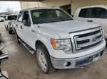 2014 Ford F-150 Xlt White vin: 1FTFW1EF3EKE58946