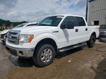 2014 Ford F150 Supercrew White vin: 1FTFW1EF3EKF40871