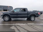 2014 Ford F-150 Xlt Черный vin: 1FTFW1EF3EKF71778