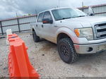 2014 Ford F-150 Xlt Silver vin: 1FTFW1EF3EKF79878