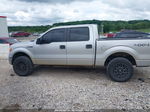 2014 Ford F-150 Xlt Silver vin: 1FTFW1EF3EKF79878