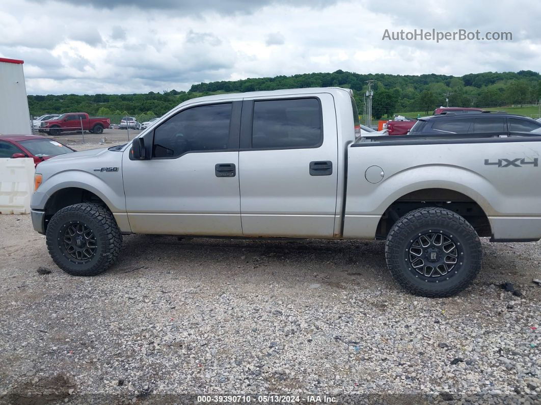 2014 Ford F-150 Xlt Silver vin: 1FTFW1EF3EKF79878