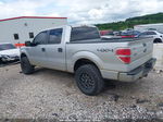 2014 Ford F-150 Xlt Silver vin: 1FTFW1EF3EKF79878