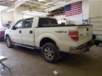 2011 Ford F150 Supercrew White vin: 1FTFW1EF4BFC15814