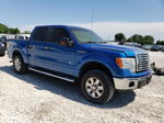 2011 Ford F150 Supercrew Blue vin: 1FTFW1EF4BFD09188