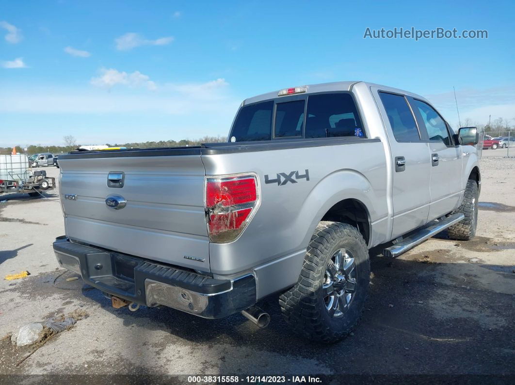 2014 Ford F-150 Xlt Silver vin: 1FTFW1EF4EKE77148