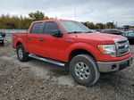 2014 Ford F150 Supercrew Red vin: 1FTFW1EF4EKG41899