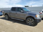 2011 Ford F150 Supercrew Gray vin: 1FTFW1EF5BFB27273