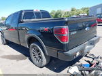 2011 Ford F-150 Fx4 Black vin: 1FTFW1EF5BFB97260